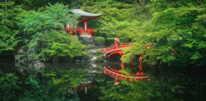 32-и дни на японската култура в България. Септември-Ноември 2021